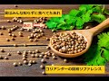 【スパイスを知ろう！】コリアンダーを知ろう！【part8】