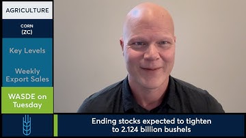 March Corn futures held support ahead of WASDE report. 12/4/25