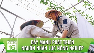 Đẩy mạnh phát triển nguồn nhân lực nông nghiệp | VTC16