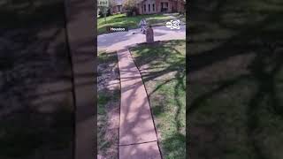 Yard worker hurls weedwhacker at suspected thieves car. A suspect who fell out of the car was caught