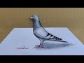 How to draw a pigeon step  by  step 3d art tutorial for beginners dovebirds