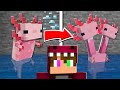 10 MOBS QUE NO CONOCÍAS DE MINECRAFT 😱 MINECRAFT ROLEPLAY