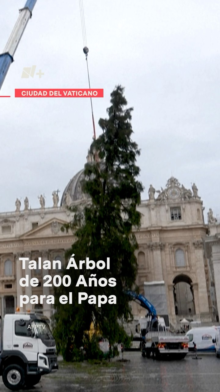 Talan árbol de 200 años para el papa #vaticano #navidad #shorts #nmas