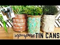 Upcycled Tin Cans / DIY craft / How to make AMAZING Planters