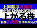 2024/2/22(木) に株価が上がる株、ストップ高候補株、株式投資・デイトレの参考に。メディカル一光、八洲電機、レイ、ＭＯＲＥＳＣＯ、ＺＵＵ、Ａｉｍｉｎｇ、ミクリード、湖池屋