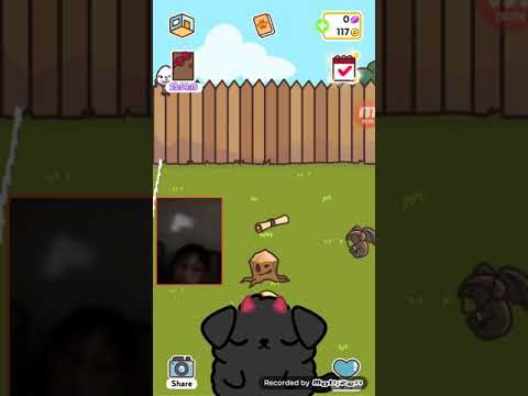 Me playing klepto dogs