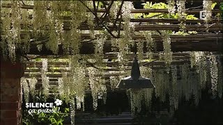 Le jardin de la villa della Pergola - Silence, ça pousse !