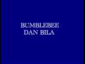 Bumblebeedan bila