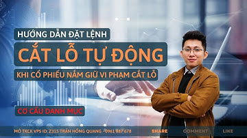 Hướng dẫn sử dụng lệnh cắt lỗ tự động (Stoploss) | Quang Trần Invest