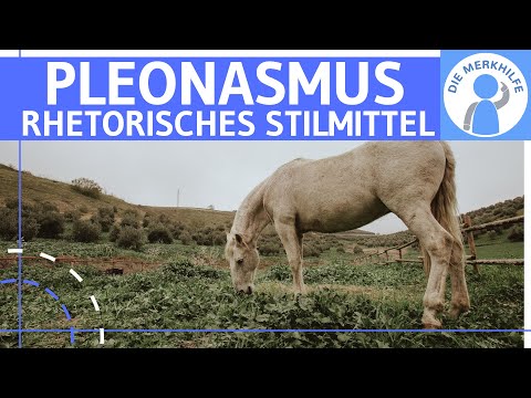 Video: Wie wird Pleonasmus verwendet?