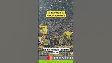 THE YELLOW WALL ALL BOUNCING TOGETHER 🤯 - BVB fans vs Chelsea