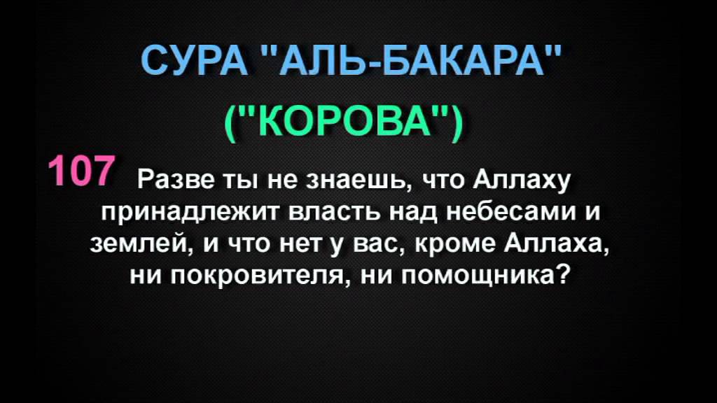 Выучить суры из корана. Священные аяты. Сура Бакара из Корана. Суры из Корана Аль Бакара. Сура Аль корова.