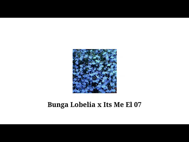 Bunga Lobelia x Its Me El 07 Vol 3 class=