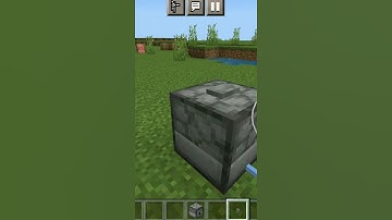 Minecraft Trident Loyalty Logic #shorts #minecraft