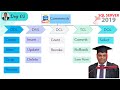 All types of sql commands  sql basics for beginners  sql training  ddl  dml  dcl  tcl  dql