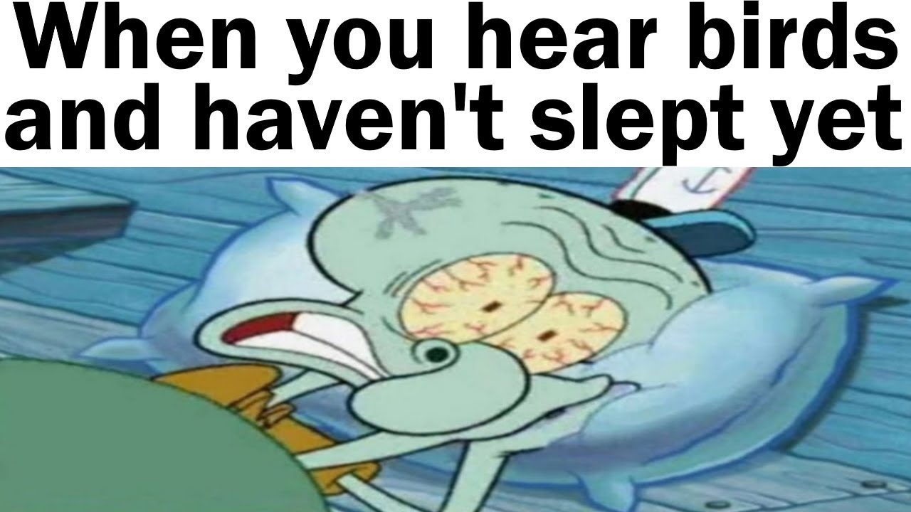 Daily Juicy Memes 1328 1329 YouTube Daily Juicy Memes 1328 1329 YouTube