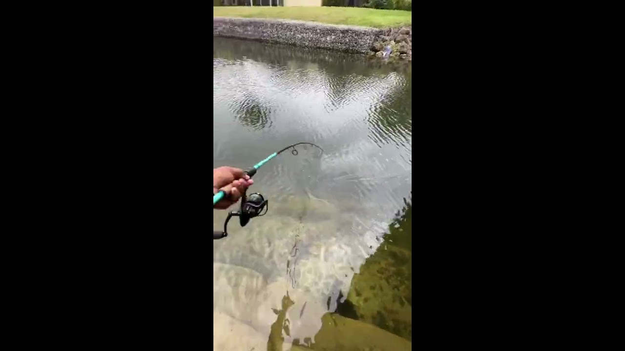 Instant Hookup Fishing Lure 