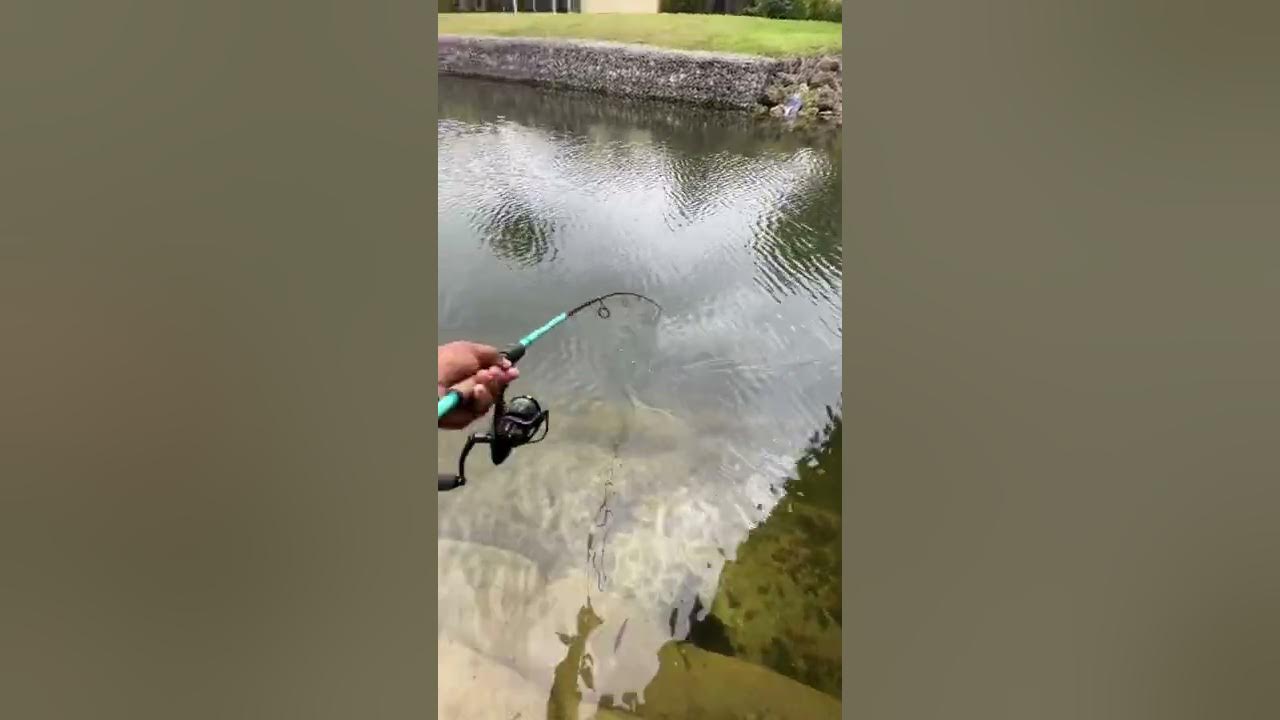 Instant Hookup Fishing Lure!