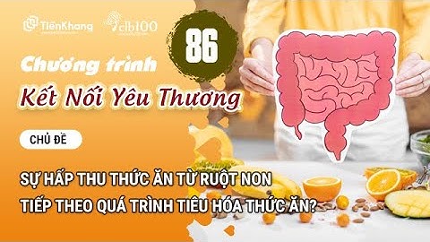 Quá trình tiêu hóa thức ăn gồm các hoạt động