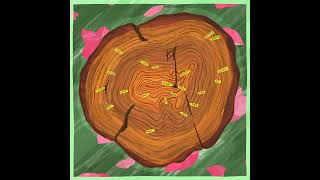 Five Golfers We Would Bet Our House On Winning The 2026 Masters – Episode #17