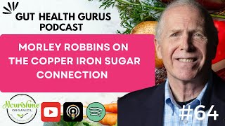 Morley Robbins on The Copper Iron Sugar Connection Part 1