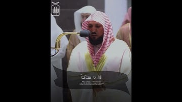 ﴿فَقالَ رَبِّ إِنّي لِما أَنزَلتَ إِلَيَّ مِن خَيرٍ فَقيرٌ﴾ من سورة القصص .. الشيخ ماهر المعيقلي 🤍.