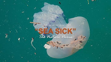 Sea Sick | A Cinematic Song About Our Dying Oceans | Official Music Video | The Nature Nexus