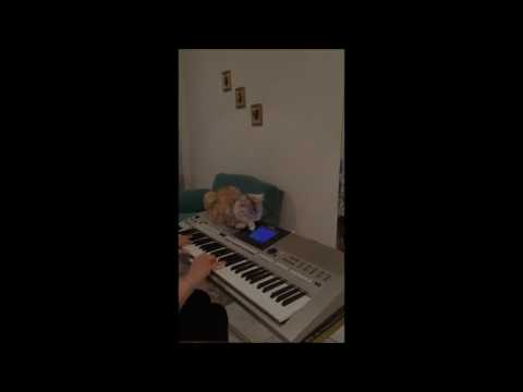 نيفين البربري عزف اورج كل شئ راح و انقضي نجاة الصغيره