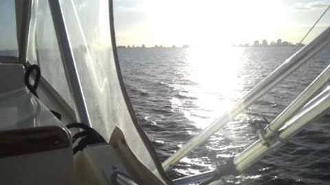 On the Carolina Gentleman