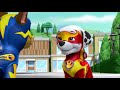 La pat patrouille  mighty pups la super patrouille  marcus  nickelodeon junior