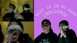 What Is In Our Hand Challenge Laptrip Best Wap