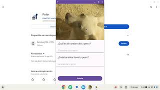 App hecha en Android Studio que muestra la edad equivalente de tu perro en años humanos. screenshot 5