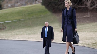 Tiny Trump Meme - You Smile You Loose 80% Fail