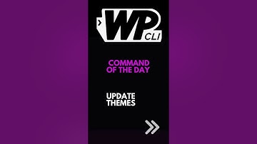 WP-CLI: Update WordPress Themes from Command Line | WP-CLI Power!