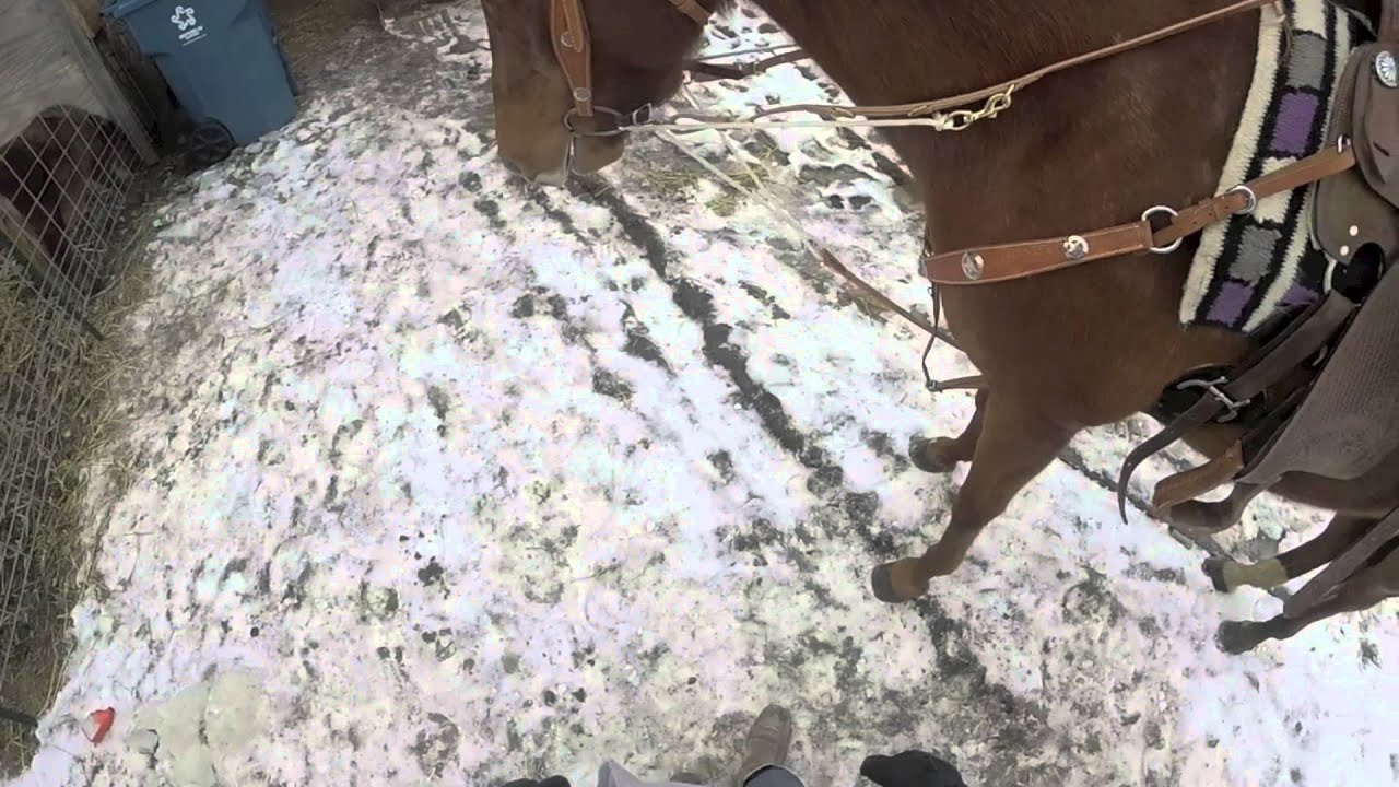 Quick set up German Martingale YouTube