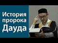 Справедливый правитель