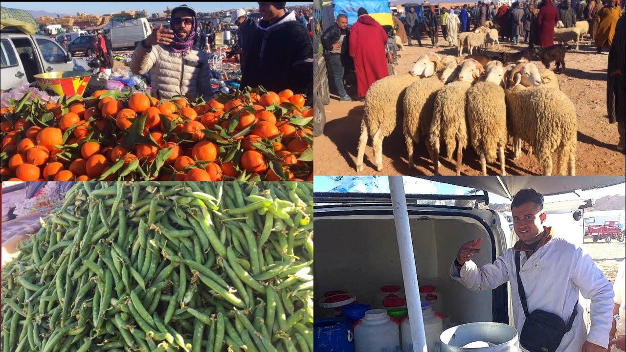 جديد سوق سيدي يحي الأسبوعي وجدة بيع الخضر والفواكه جميع الخيرات تبارك الله