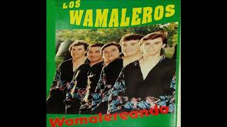 LOS WAMALEROS -  EL CAZADOR