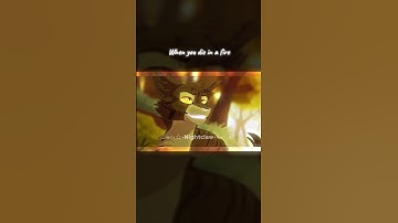 We are not the same person! #edit #warriorcats #brambleclaw #tigerstar