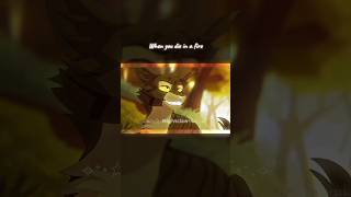 We Are Not The Same Person