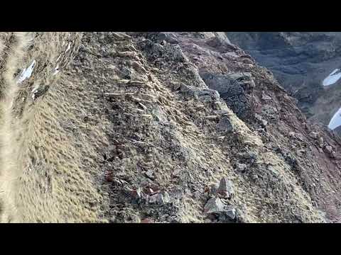 ჯიხვების არვე