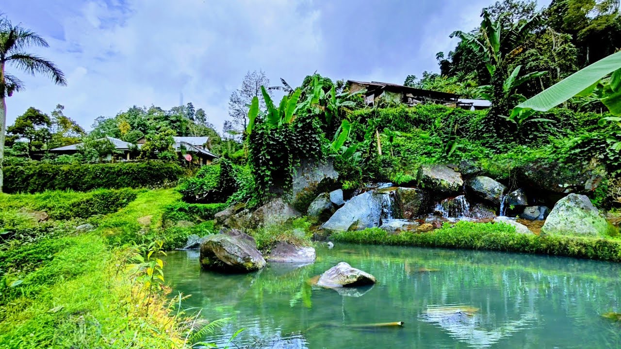 WATU PAWON: Kampung Seribu Mata Air Yang Sejuk Dan Damai Tersembunyi Di Lereng Lawu‼️
