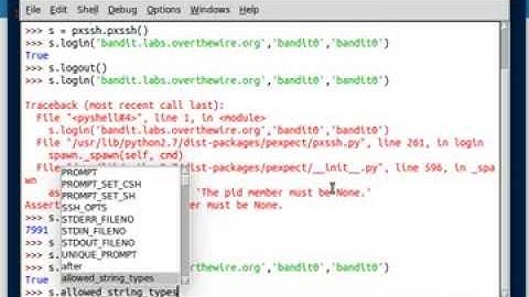 Python [pxssh] 02 Variables