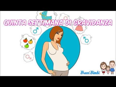 Video: Com'è La Quinta Settimana Di Gravidanza?