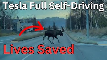 Tesla FSD Saves Animals’ Lives (Video Compilation)