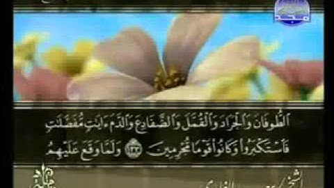 سورة الأعراف كاملة الشيخ سعد الغامدي