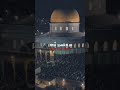 لايك اكسبلور تصميمي شيل شيل عالجمال شيل
