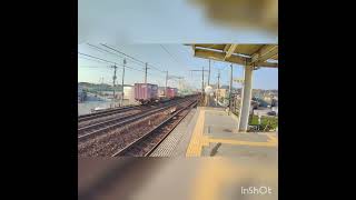 JR貨物 琵琶湖線 貨物列車 4K HDR撮影