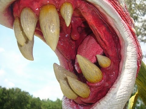 Triffids-Planta-carnivora-filme-dublado