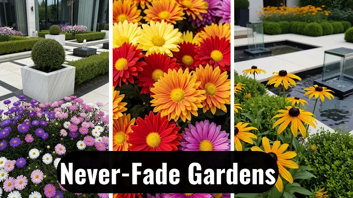 13 Perennials That Will Explode with Color in Late Summer & Fall Garden(You’ll Want Every Single One